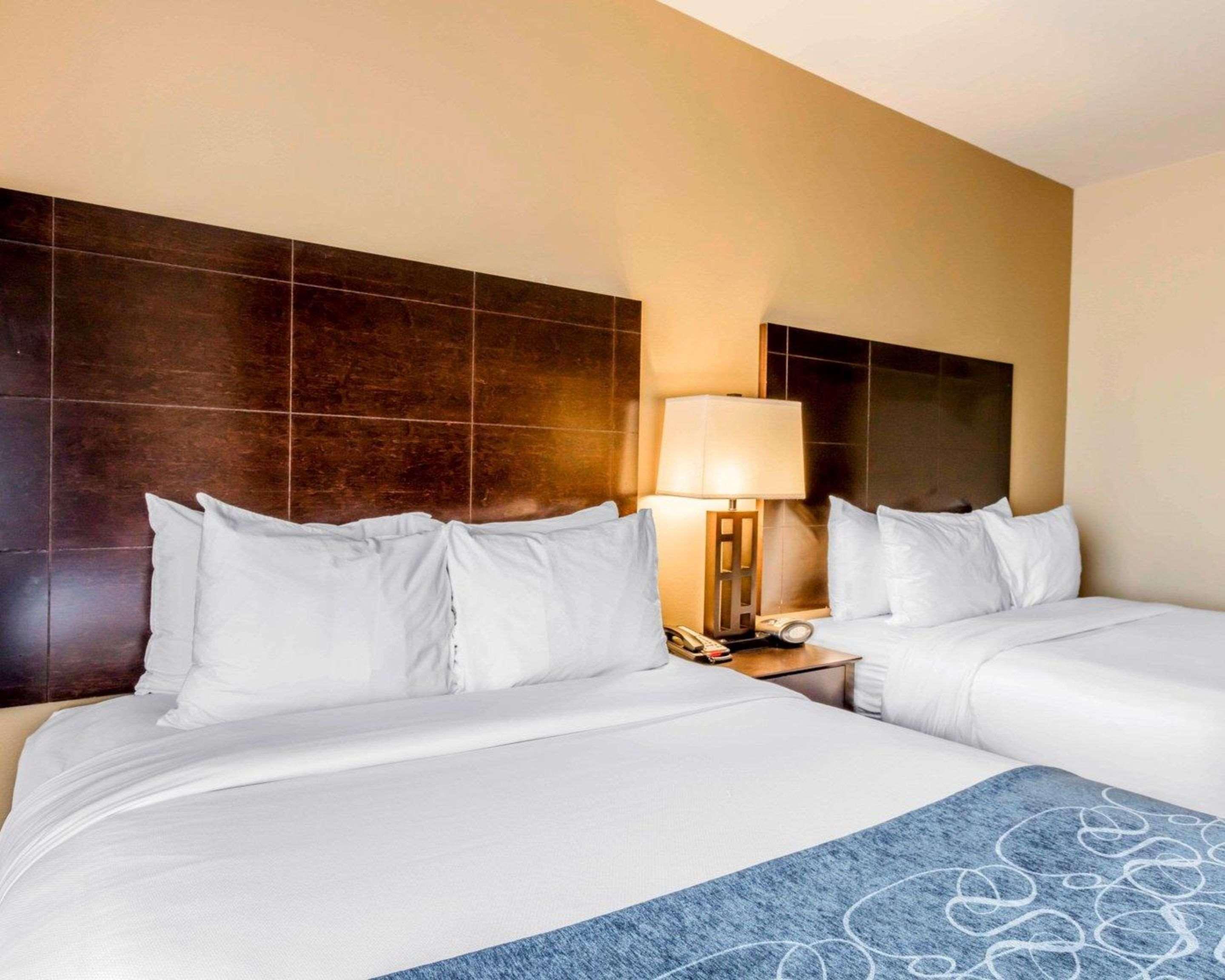 Comfort Suites Pell City I-20 Exit 158 Ngoại thất bức ảnh