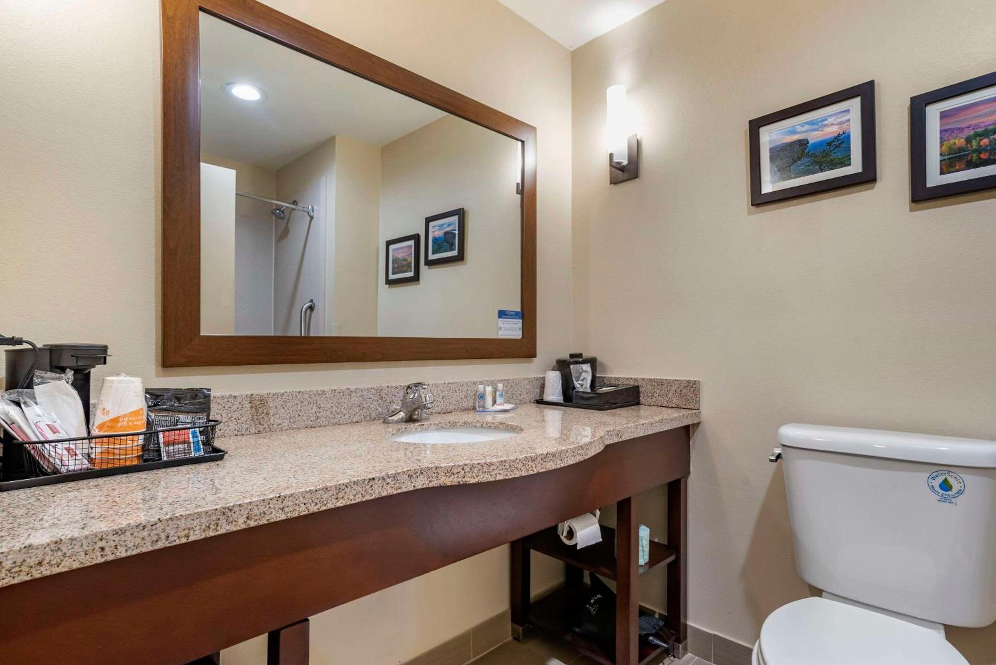 Comfort Suites Pell City I-20 Exit 158 Ngoại thất bức ảnh