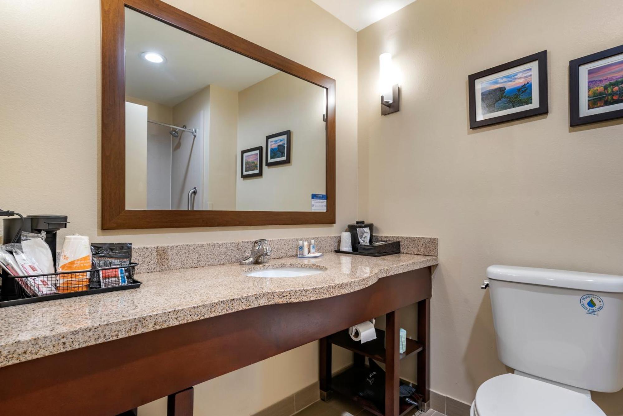 Comfort Suites Pell City I-20 Exit 158 Ngoại thất bức ảnh